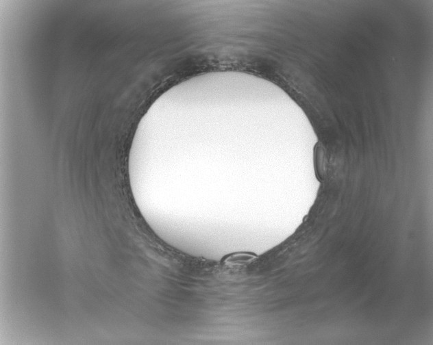 X0000056030865200509092202