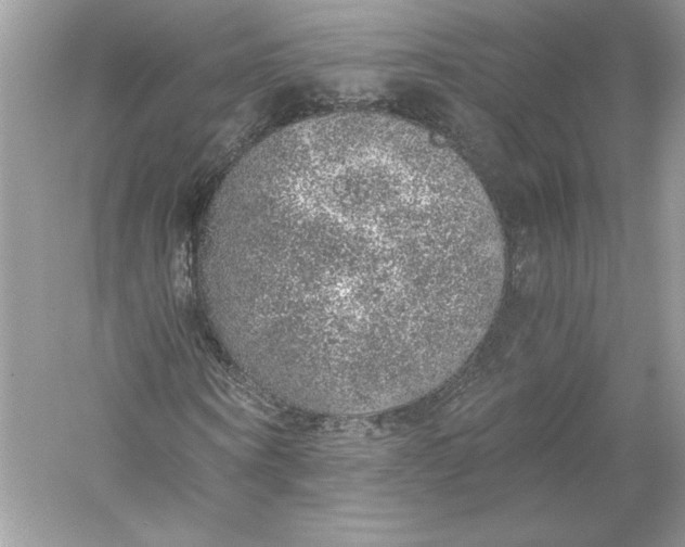 X0000056030866200509092202