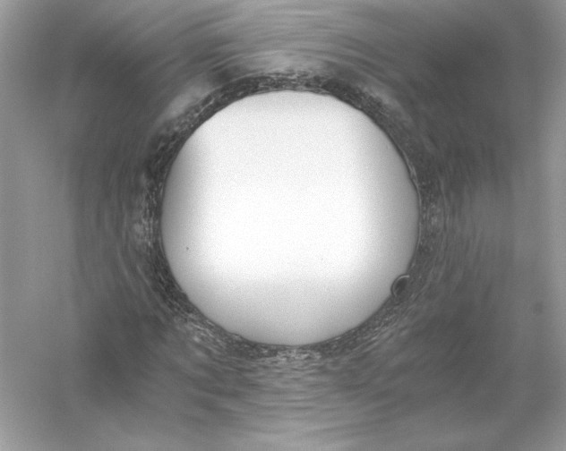 X0000056030869200509092202