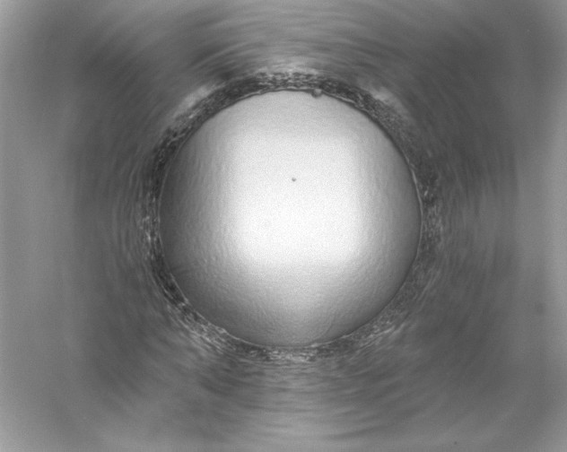 X0000056030870200509092202