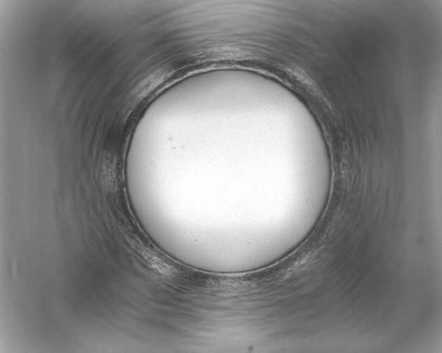 X0000056030873200509092202