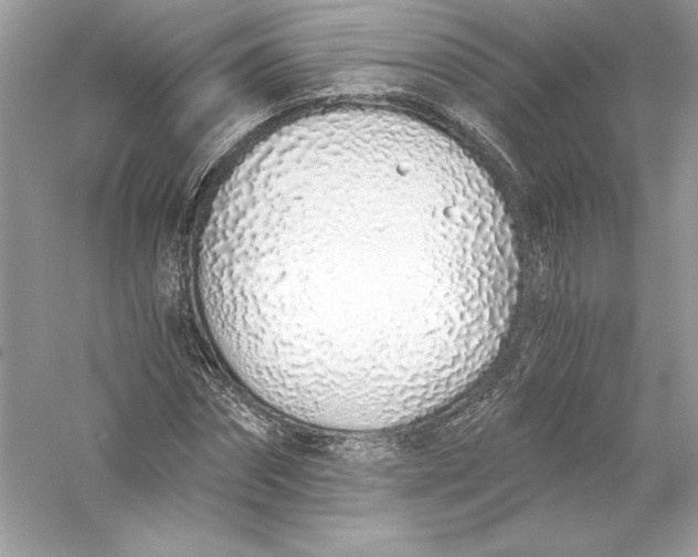 X0000056030874200509092202