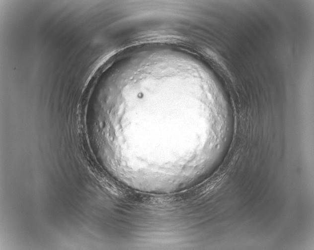 X0000056030875200509092202