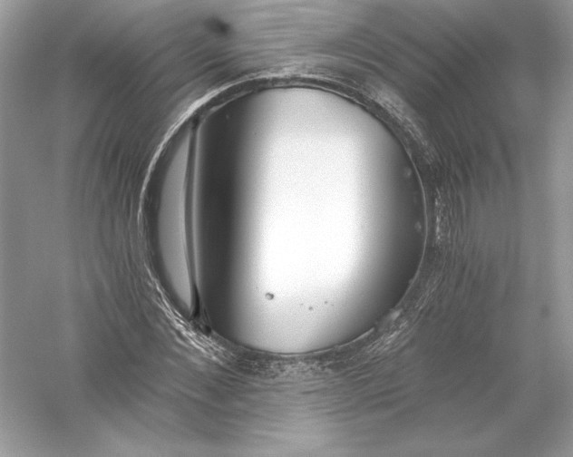 X0000056030876200509092202