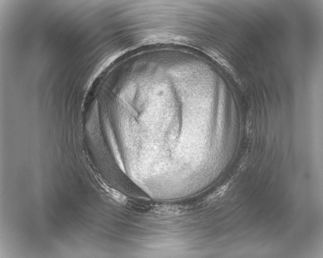 X0000056030877200509092202