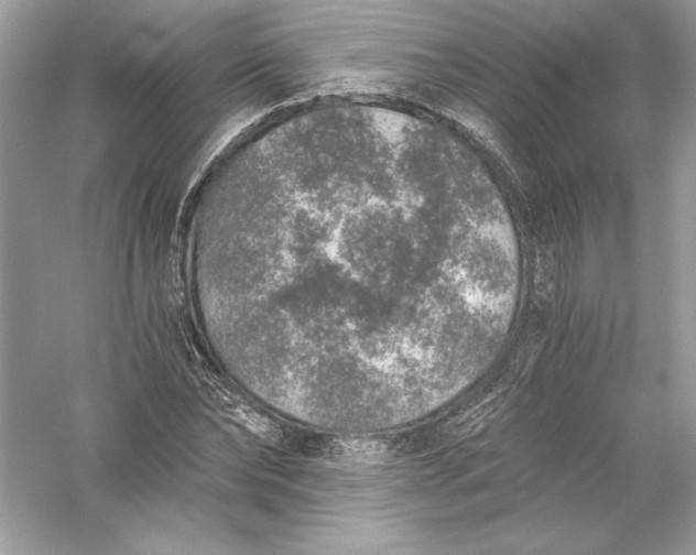 X0000056030878200509092202