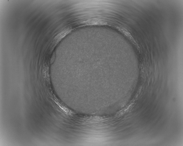 X0000056030881200509092202