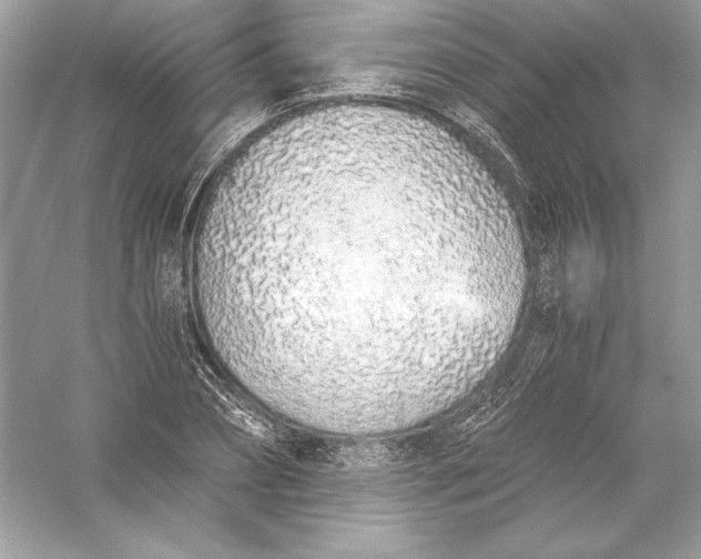 X0000056030882200509092202