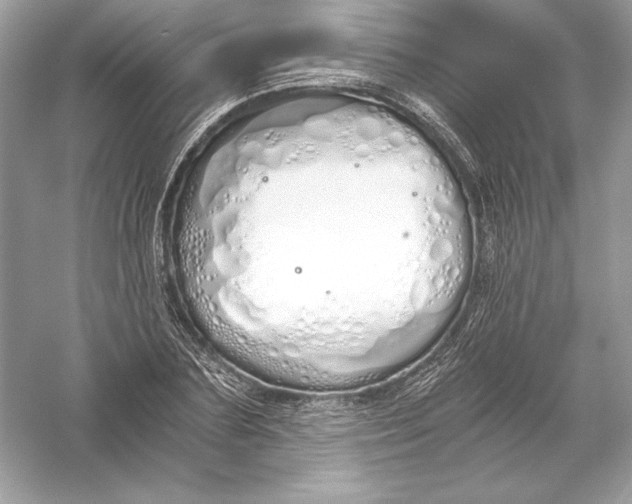 X0000056030883200509092202