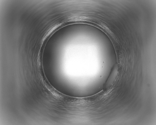 X0000056030885200509092202