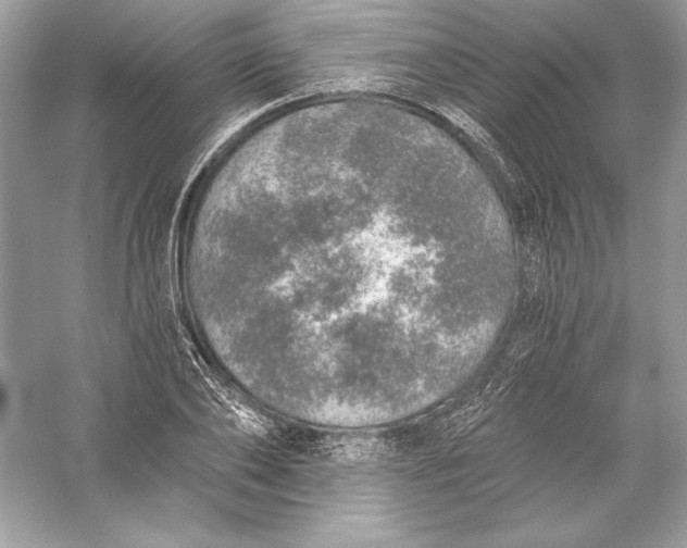 X0000056030886200509092202