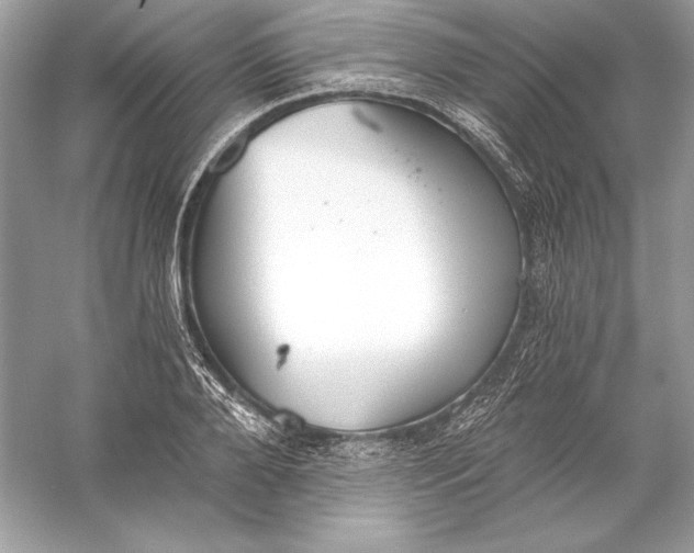 X0000056030888200509092202