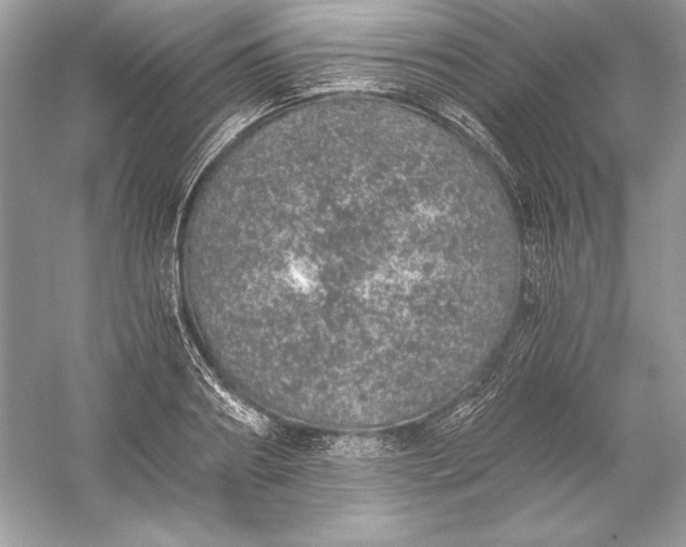 X0000056030890200509092202