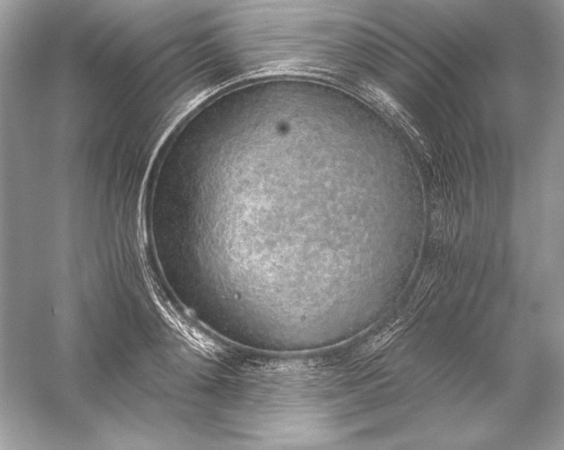 X0000056030892200509092202