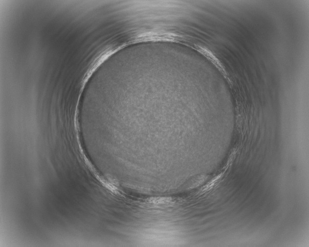 X0000056030893200509092202