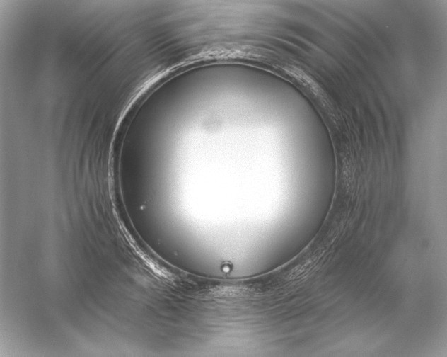 X0000056030894200509092202