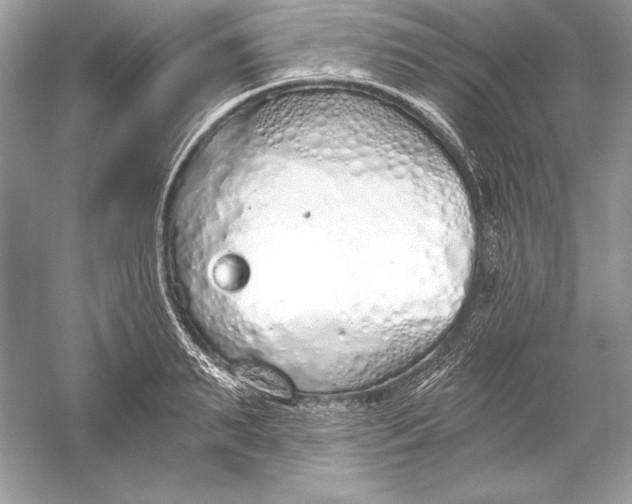 X0000056030895200509092202