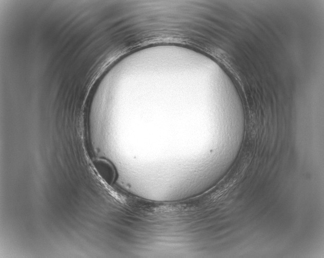 X0000056030898200509092202