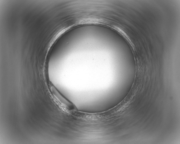 X0000056030901200509092202