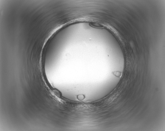 X0000056030902200509092202