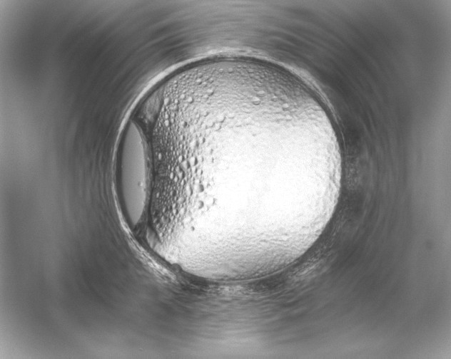 X0000056030903200509092202