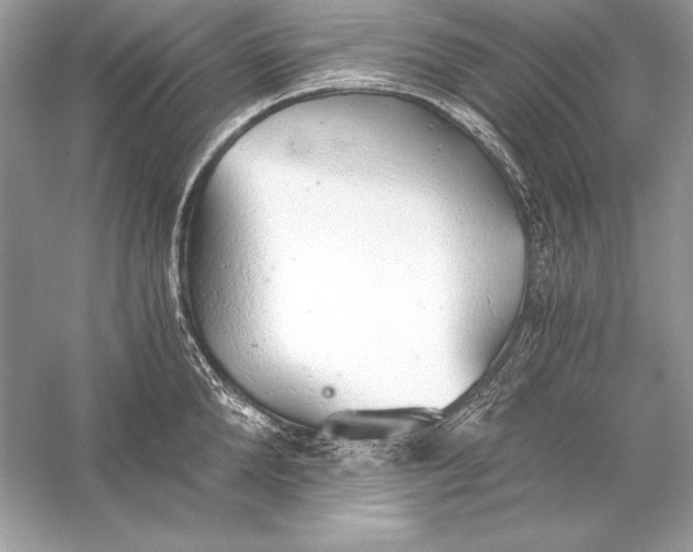 X0000056030904200509092202