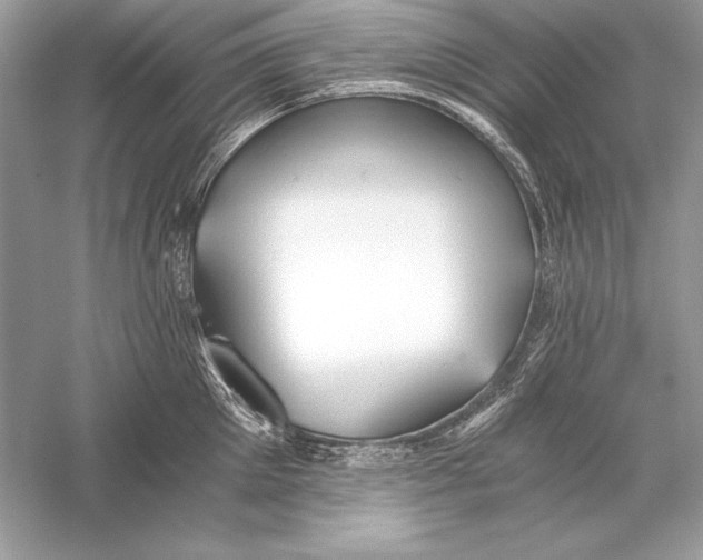 X0000056030905200509092202