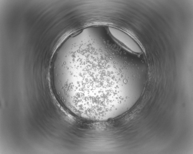 X0000056030906200509092202