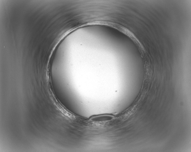 X0000056030908200509092202