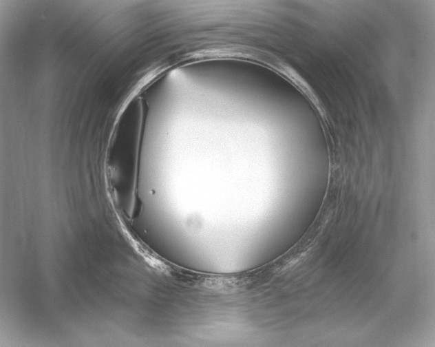 X0000056030909200509092202