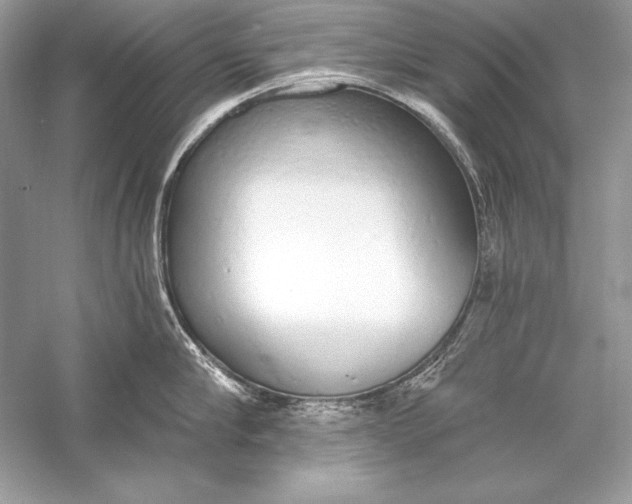 X0000056030910200509092202