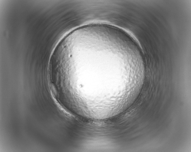 X0000056030911200509092202