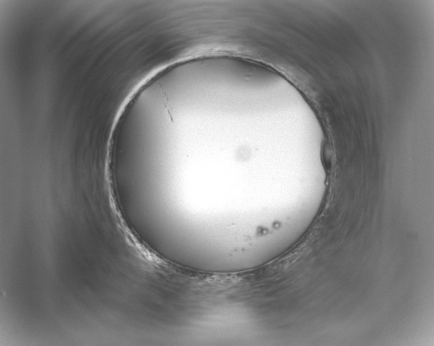 X0000056030912200509092202