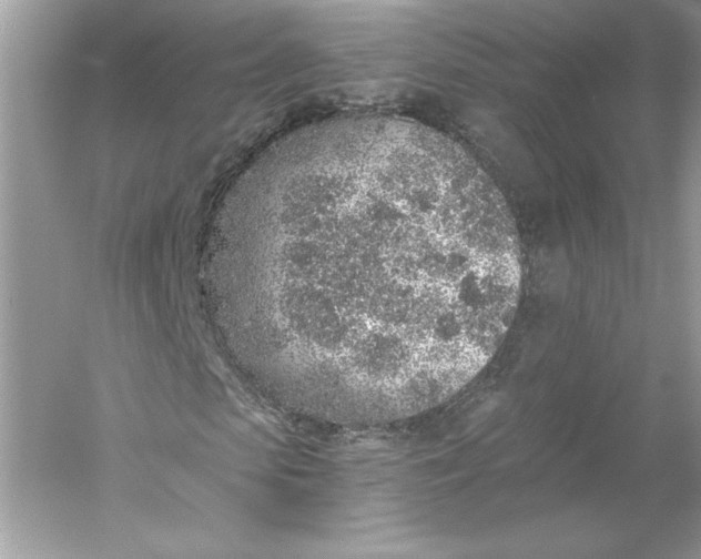 X0000056030913200509092201