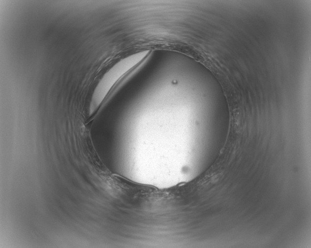 X0000056030916200509092201