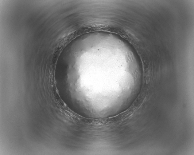 X0000056030917200509092201