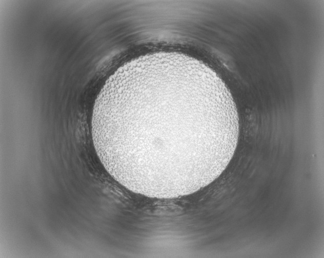 X0000056030918200509092201