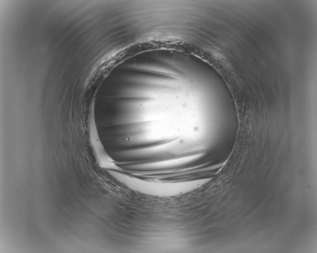 X0000056030920200509092201