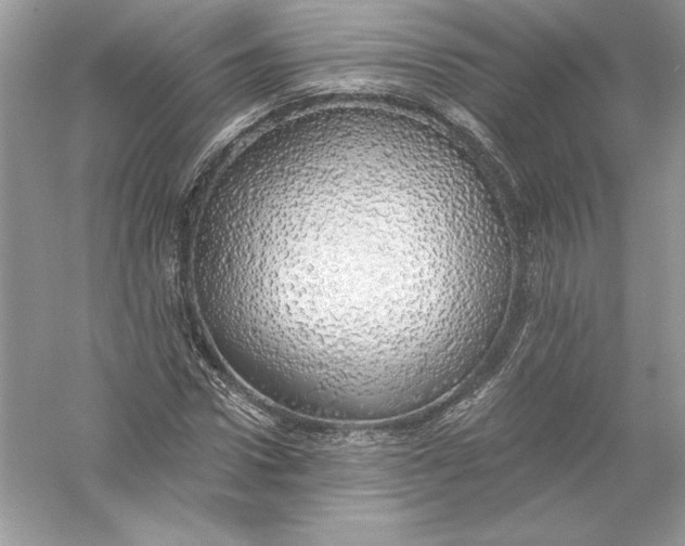 X0000056030922200509092201