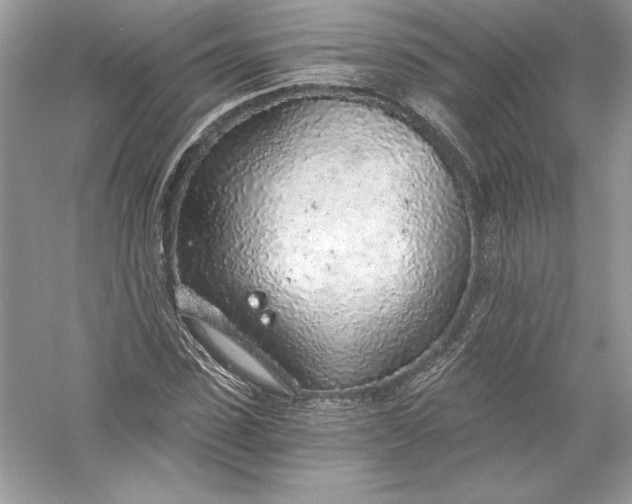 X0000056030923200509092201