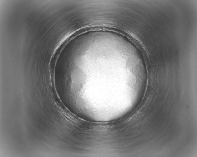 X0000056030925200509092201