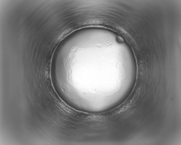 X0000056030929200509092201