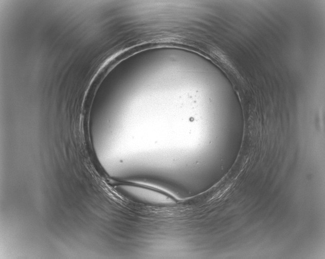 X0000056030932200509092201