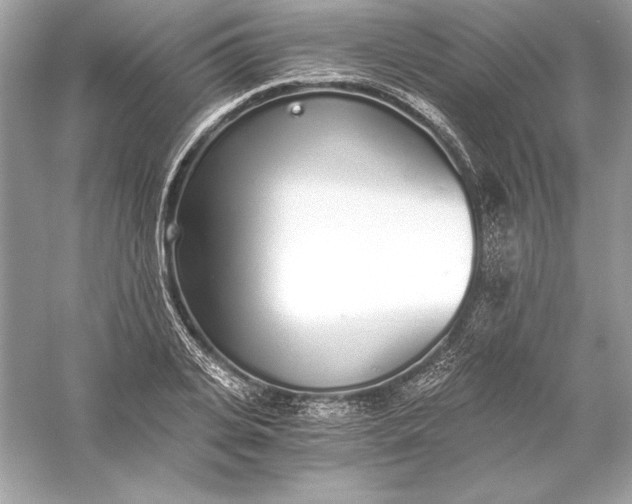 X0000056030935200509092201