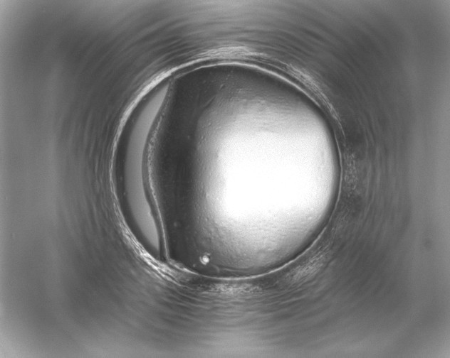 X0000056030939200509092201