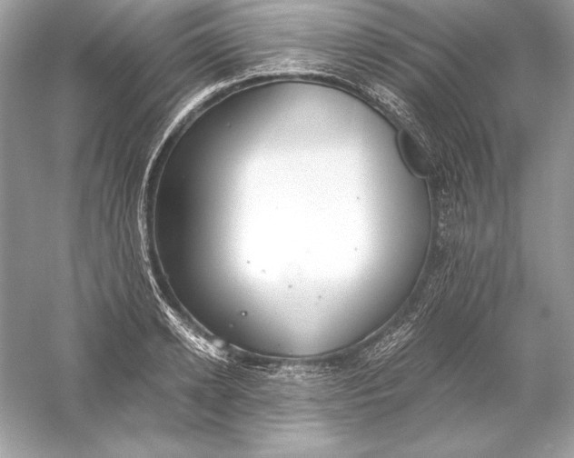 X0000056030942200509092201