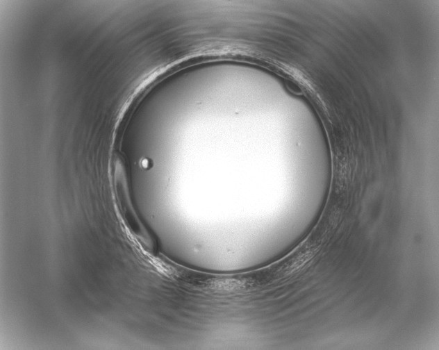 X0000056030943200509092201