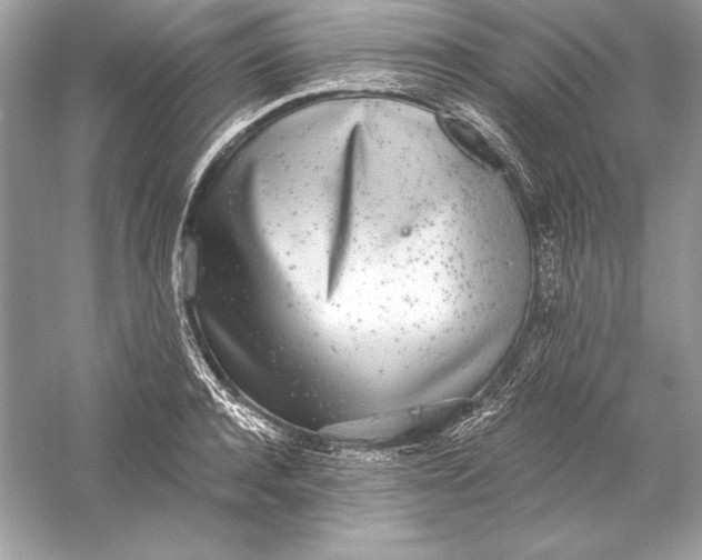 X0000056030944200509092201