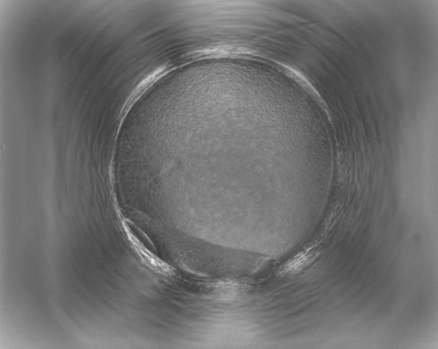 X0000056030946200509092201