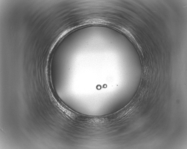 X0000056030947200509092201